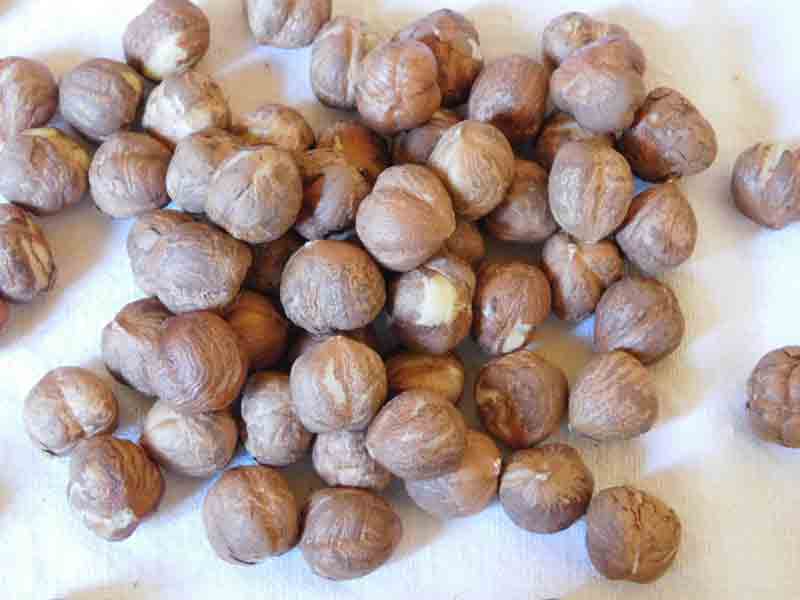 Noisettes décortiquées crues